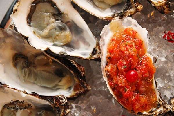 oysters-kanapa7