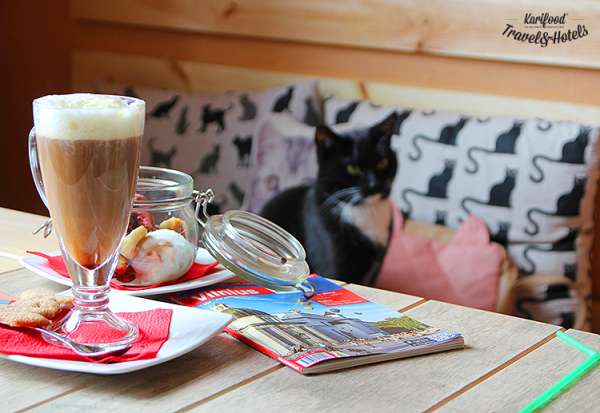 catcafe30