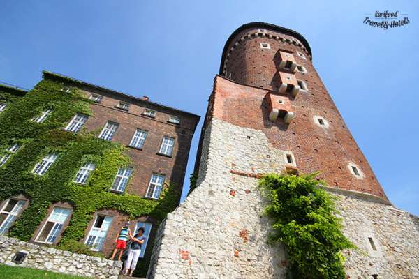 wawel13