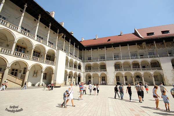wawel8