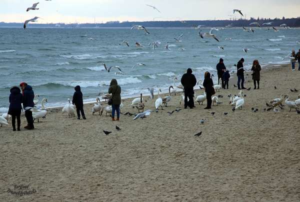 sopot14
